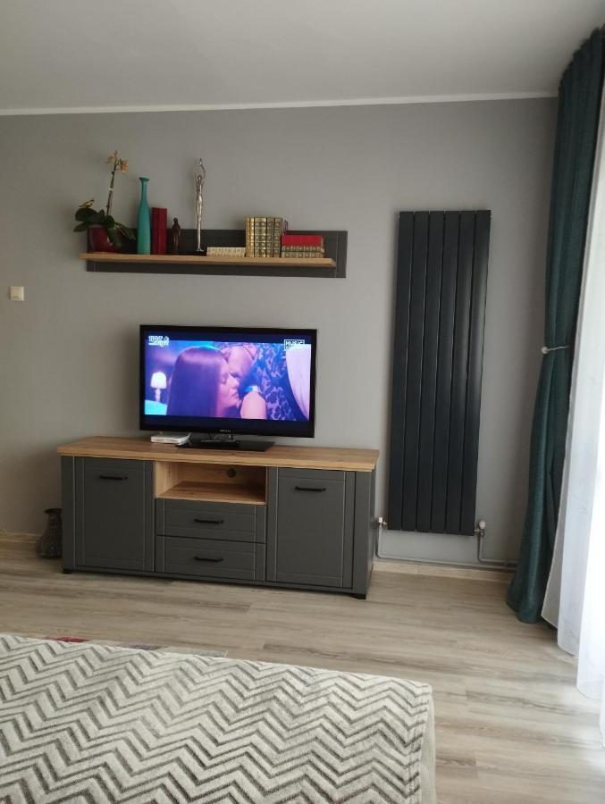 Апартаменты Central Lala Apartament Брашов Экстерьер фото