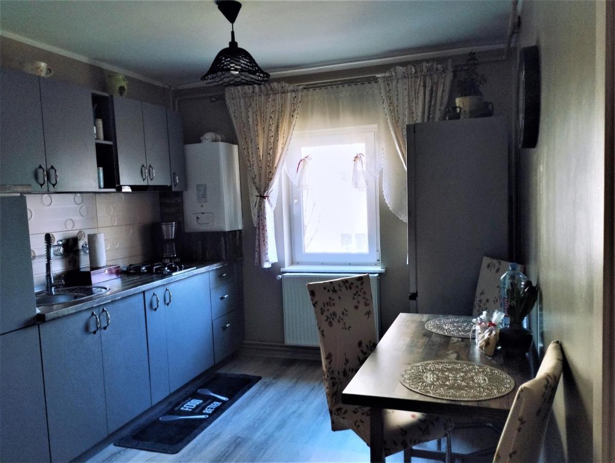 Апартаменты Central Lala Apartament Брашов Экстерьер фото